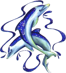 J'ADORD LES DAUPHIN,CET TROP BEAU...